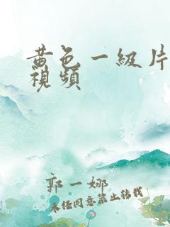 黄色一级片录像视频