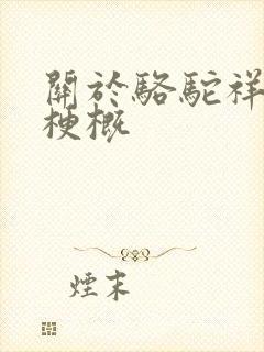 关于骆驼祥子的梗概