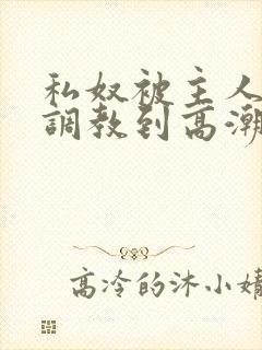 私奴被主人玩弄调教到高潮小说