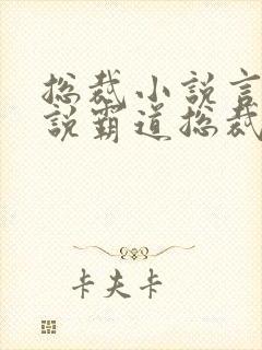 总裁小说言情小说霸道总裁爱上我