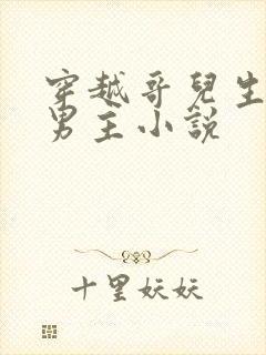 穿越哥儿生子双男主小说