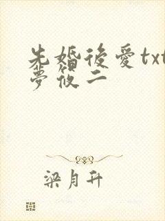 先婚后爱txt梦筱二