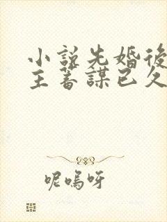 小说先婚后爱男主蓄谋已久