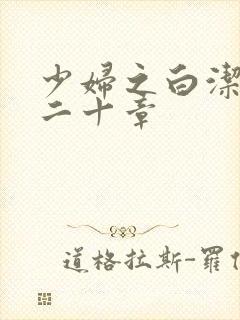 少妇之白洁目录二十章