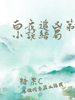 白夜追凶第二季小说结局