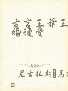 古言王爷王妃先婚后爱