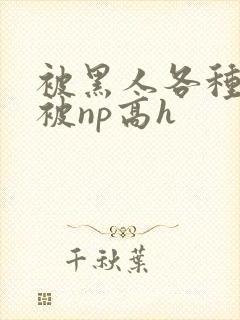 被黑人各种姿势被np高h