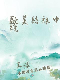 欧美丝袜中文在线