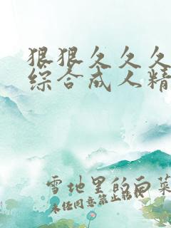 狠狠久久久久久综合成人精品