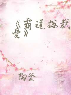 《霸道总裁放肆爱》