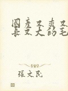 国产又爽又粗又长又大的毛片