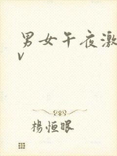 男女午夜激情av