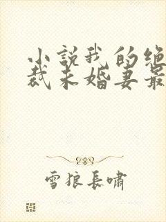 小说我的绝色总裁未婚妻最新章节