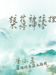 校花被揉捏两乳不停呻吟