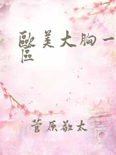 欧美大胸一区二区