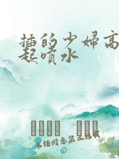 插的少妇高潮迭起喷水