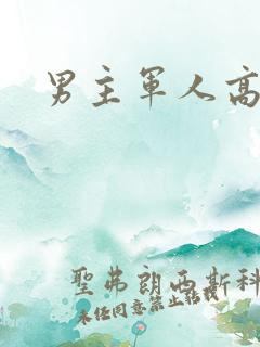 男主军人高干文
