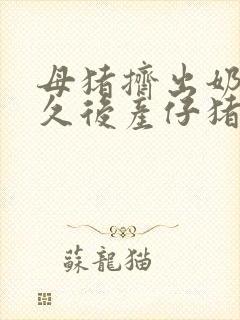 母猪挤出奶水多久后产仔猪