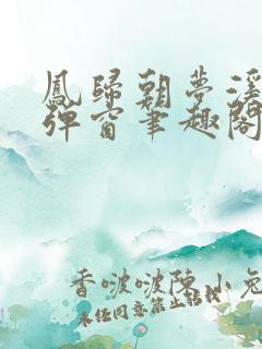 凤归朝梦溪石无弹窗笔趣阁