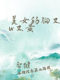 美女的胸又www又黄