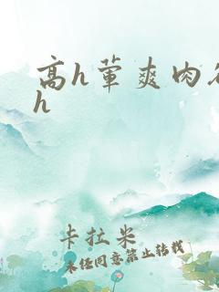高h荤爽肉欲文h
