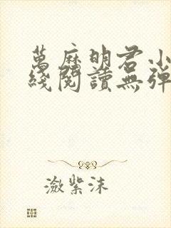 万历明君小说在线阅读无弹窗