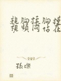 亲胸揉胸摸下面视频网站在线观看视频