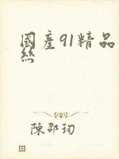 国产91精品黑丝