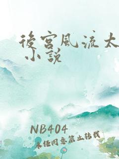 后宫风流太后乱 小说