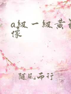 a级一级黄色录像