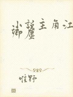 小说主角江稚沈卿尘