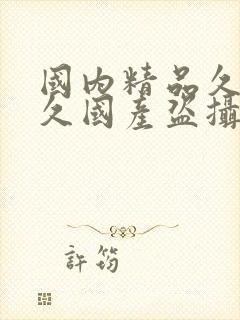 国内精品久久久久国产盗摄