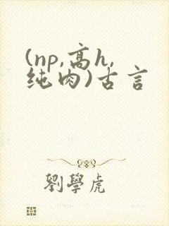 (np,高h,纯肉)古言
