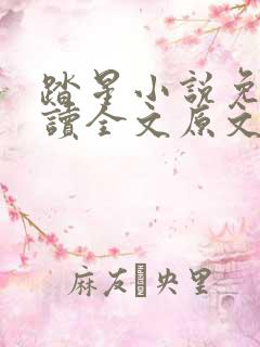 踏星小说免费阅读全文原文