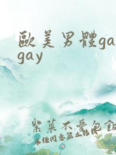欧美男体gaygay