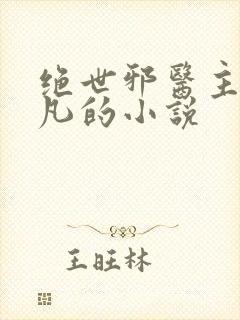 绝世邪医主角林凡的小说