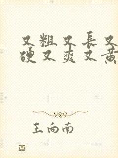 又粗又长又大又硬又爽又黄视频