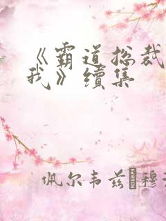 《霸道总裁爱上我》续集