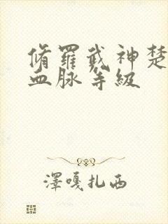 修罗武神楚枫的血脉等级