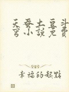 天蚕土豆斗破苍穹小说免费阅读