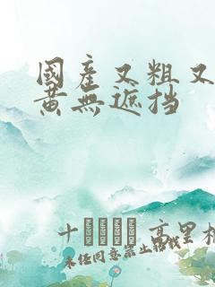 国产又粗又猛又黄无遮挡