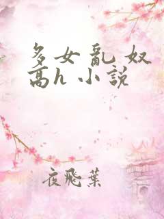 多女 乱 奴 高h 小说