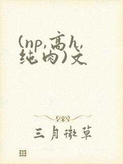 (np,高h,纯肉)文