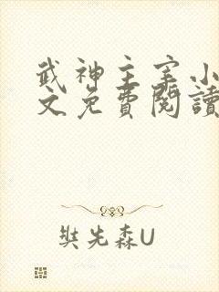 武神主宰小说全文免费阅读无弹窗