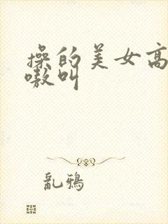 操的美女高潮嗷嗷叫