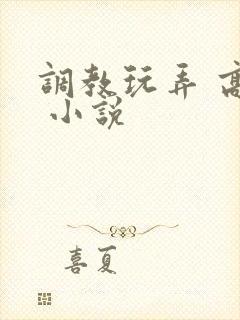 调教玩弄 高潮 小说