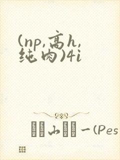 (np,高h,纯肉)4i