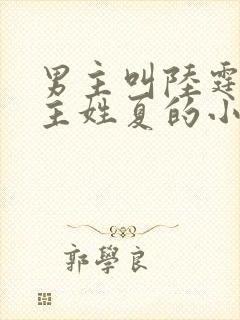 男主叫陆霆琛女主姓夏的小说