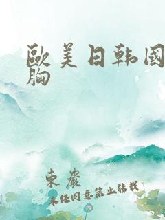 欧美日韩国产大胸