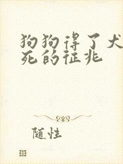 狗狗得了犬瘟快死的征兆